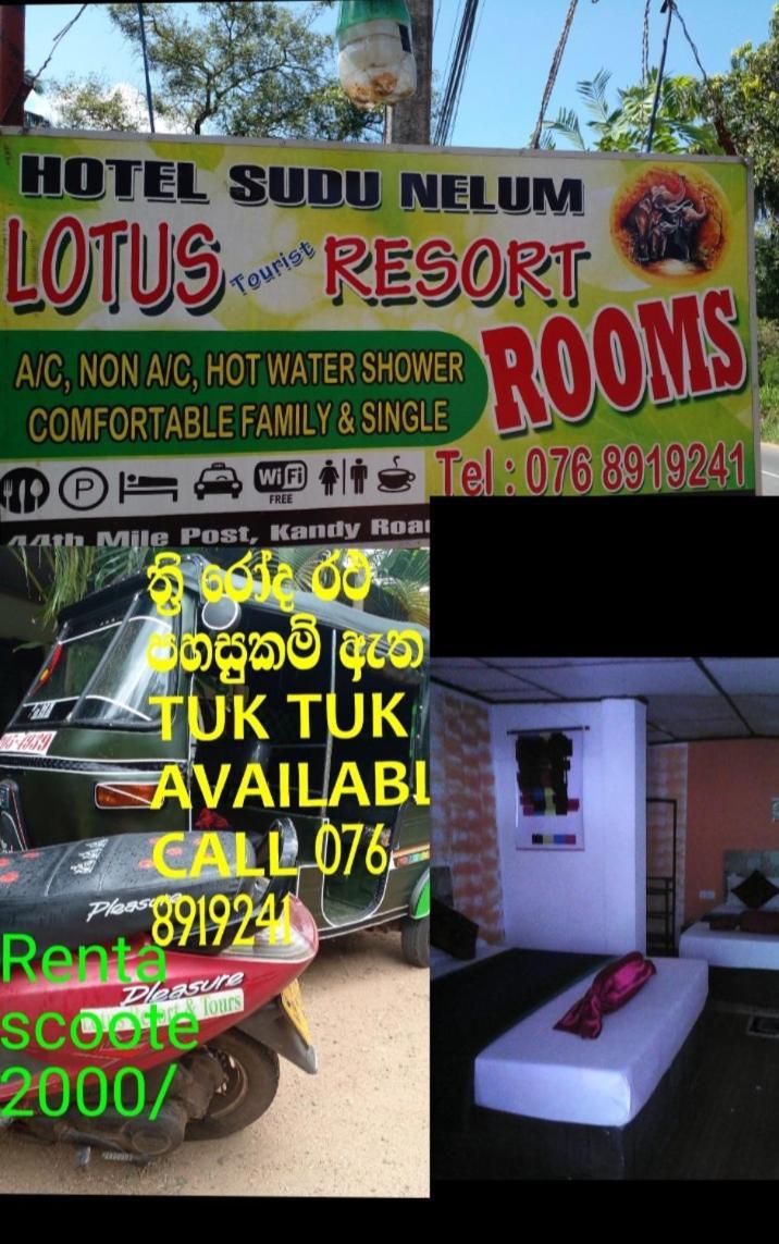 Lotus Inn Tourist Resort Dambulla Dış mekan fotoğraf