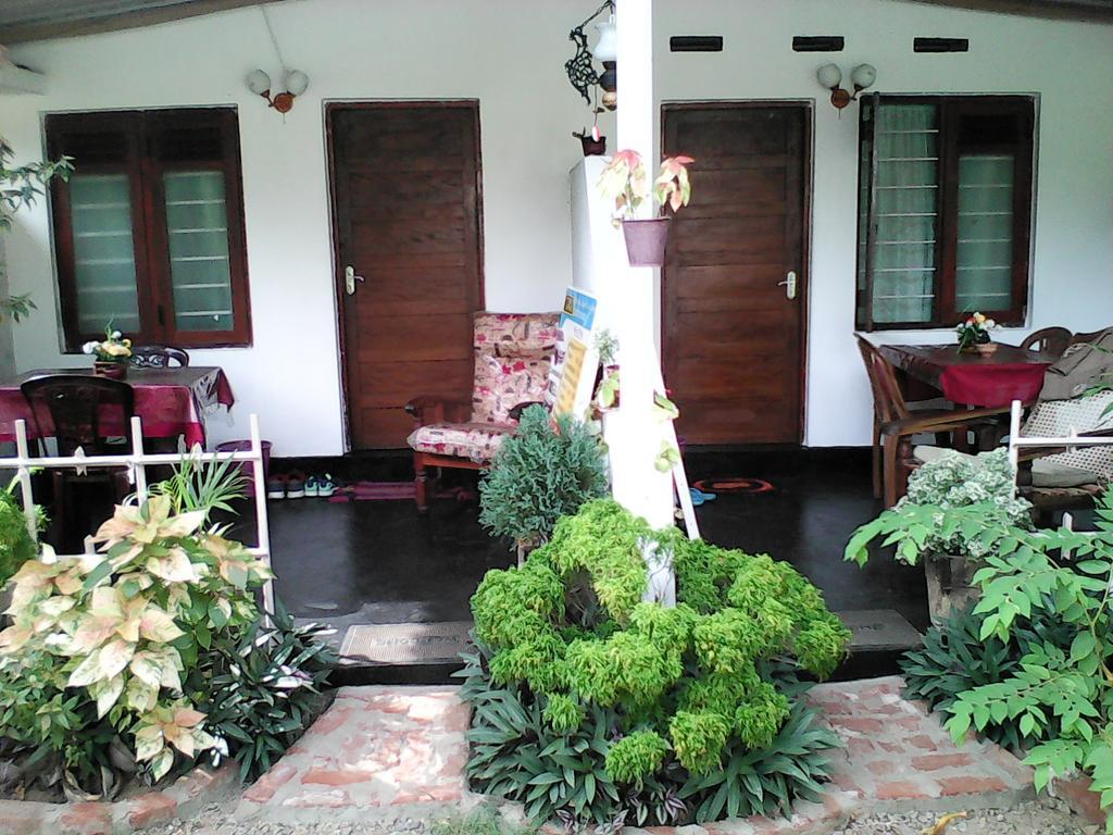 Lotus Inn Tourist Resort Dambulla Dış mekan fotoğraf