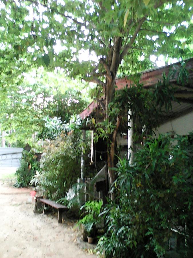 Lotus Inn Tourist Resort Dambulla Dış mekan fotoğraf