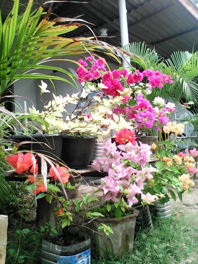 Lotus Inn Tourist Resort Dambulla Dış mekan fotoğraf