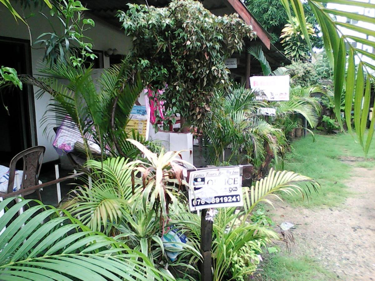 Lotus Inn Tourist Resort Dambulla Dış mekan fotoğraf