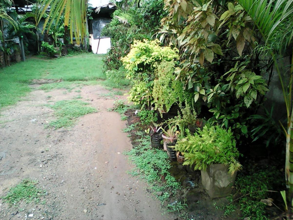 Lotus Inn Tourist Resort Dambulla Dış mekan fotoğraf